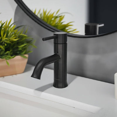 Aruba Stainless Steel 1 Handle Bathroom Faucet with drain assembly in Steel Black finish Aruba Stainless Steel 1 Handle Bathroom Faucet with drain assembly in Steel Black finish