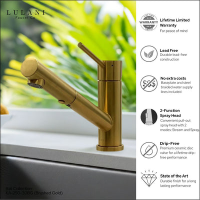 Bali - Stainless Steel 1 Handle 2-Function Pull-Out Swivel Kitchen Faucet with Baseplate in Brushed Gold finish Bali - Stainless Steel 1 Handle 2-Function Pull-Out Swivel Kitchen Faucet with Baseplate in Brushed Gold finish