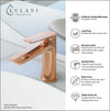 Ibiza 1 handle single hole Bathroom Faucet with drain assembly in Rose Gold finish