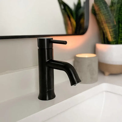 Aruba Stainless Steel 1 Handle Bathroom Faucet with drain assembly in Steel Black finish Aruba Stainless Steel 1 Handle Bathroom Faucet with drain assembly in Steel Black finish