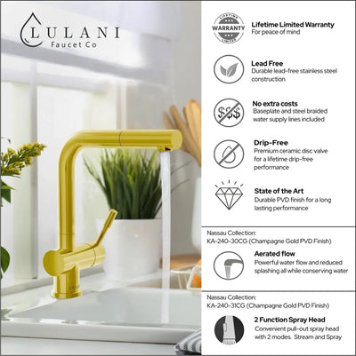 Nassau - Stainless Steel Pull-Out Kitchen Faucet (Aerated spray head) in Champagne Gold finish Nassau - Stainless Steel Pull-Out Kitchen Faucet (Aerated spray head) in Champagne Gold finish