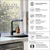 Nassau - Stainless Steel Pull-Out Kitchen Faucet (Aerated spray head) in Steel Black finish
