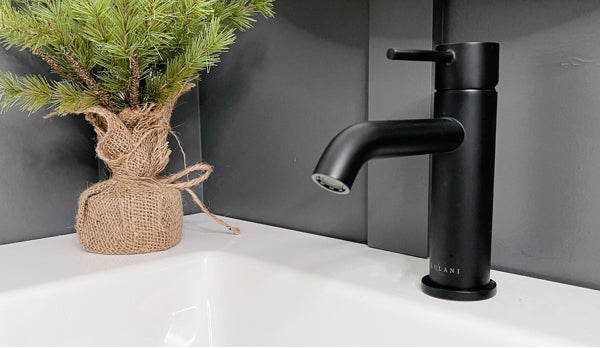 Your Guide to Identifying & Choosing ADA-compliant Kitchen Faucets