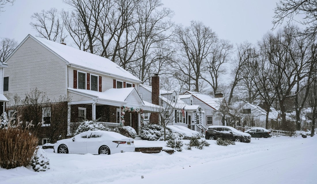 Homes in Snow