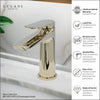 Ibiza 1 handle single hole Bathroom Faucet with drain assembly in Champagne Gold finish