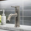 Aruba Stainless Steel 1 Handle Bathroom Faucet with drain assembly in Brushed Stainless finish