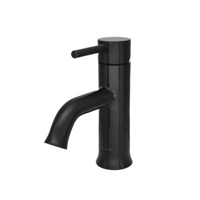 Aruba Stainless Steel 1 Handle Bathroom Faucet with drain assembly in Steel Black finish