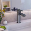 Corsica 1 Handle Single Hole Brass Bathroom Faucet with drain assembly in Gun Metal finish