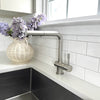 Nassau Stainless Steel 1 Handle Pull-Out Swivel Kitchen Faucet with PVD Finish Includes Baseplate in Brushed Stainless finish