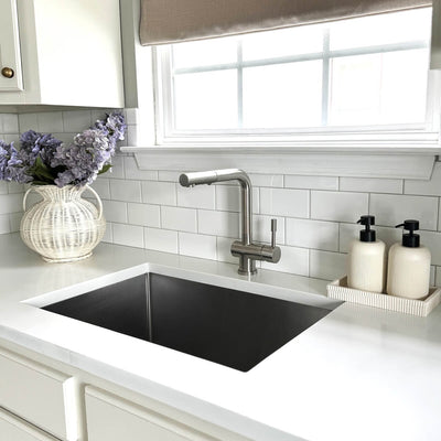 Nassau Stainless Steel 1 Handle Pull-Out Swivel Kitchen Faucet with PVD Finish Includes Baseplate in Brushed Stainless finish