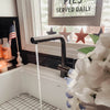 Nassau Stainless Steel 1 Handle Pull-Out Swivel Kitchen Faucet with PVD Finish Includes Baseplate in Gun Metal finish
