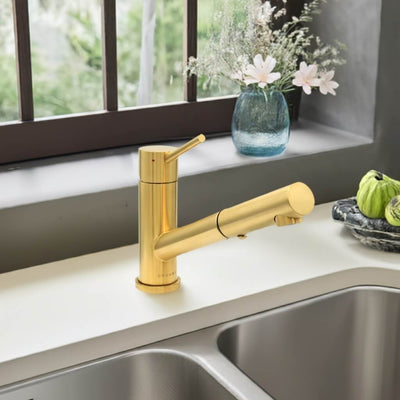 Bali - Stainless Steel 1 Handle 2-Function Pull-Out Swivel Kitchen Faucet with Baseplate in Brushed Gold finish