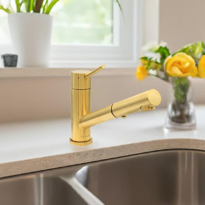 Bali - Stainless Steel 1 Handle 2-Function Pull-Out Swivel Kitchen Faucet with Baseplate in Brushed Gold finish