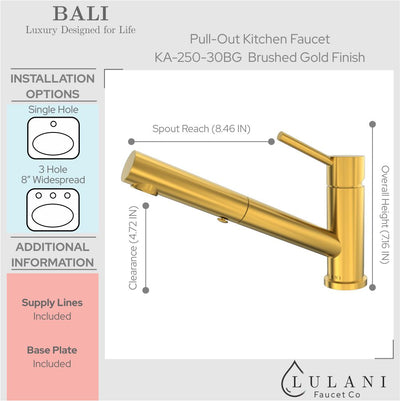 Bali - Stainless Steel 1 Handle 2-Function Pull-Out Swivel Kitchen Faucet with Baseplate in Brushed Gold finish