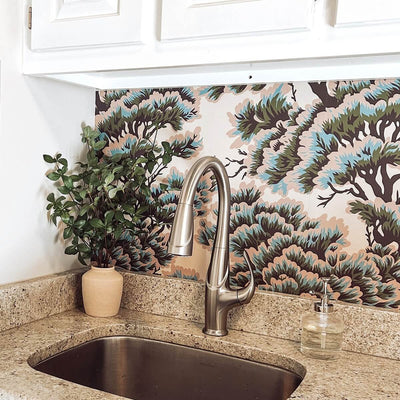 Kauai 1 Handle Swivel Pull-Down Kitchen Faucet Includes Baseplate in Brushed Nickel finish