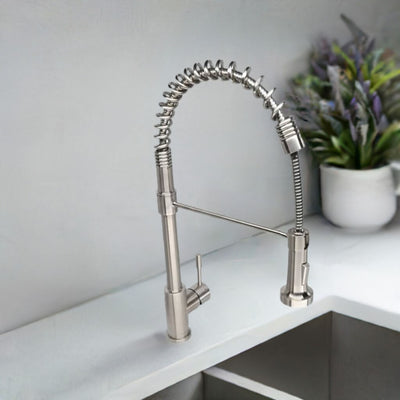 Soneva Stainless Steel 1 Handle Swivel Kitchen Faucet Includes Baseplate in Brushed Stainless finish