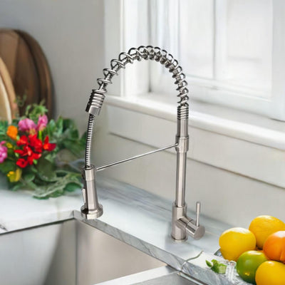 Soneva Stainless Steel 1 Handle Swivel Kitchen Faucet Includes Baseplate in Brushed Stainless finish