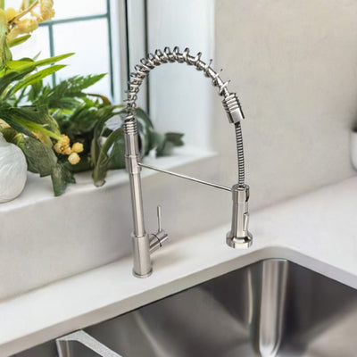 Soneva Stainless Steel 1 Handle Swivel Kitchen Faucet Includes Baseplate in Brushed Stainless finish