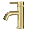 Aruba Stainless Steel 1 Handle Bathroom Faucet with drain assembly in Champagne Gold finish