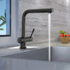 Nassau Stainless Steel 1 Handle Pull-Out Swivel Kitchen Faucet with PVD Finish Includes Baseplate in Gun Metal finish