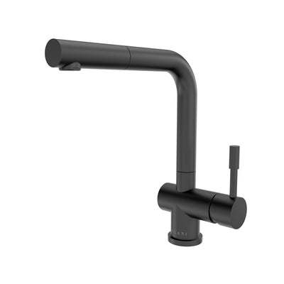 Open Box - Nassau, Pull-Out Kitchen Faucet (Aerated Spray Head) in Gun Metal finish