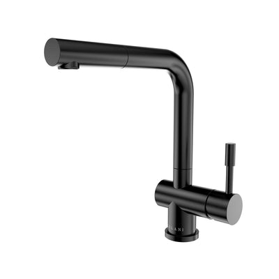 Open Box - Nassau, Pull-Out Kitchen Faucet (Aerated Spray Head) in Steel Black finish