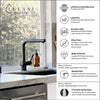 Nassau Stainless Steel 1 Handle Pull-Out Swivel Kitchen Faucet with PVD Finish Includes Baseplate in Steel Black finish
