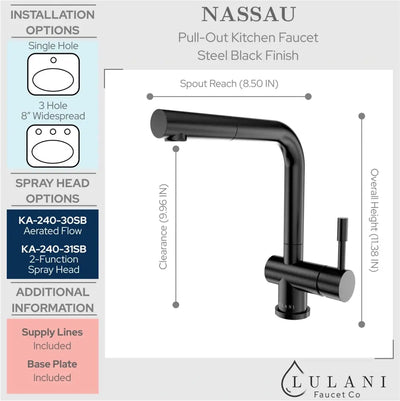 Nassau - Stainless Steel Pull-Out Kitchen Faucet (2 function Spray Head) Steel Black
