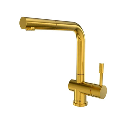 Open Box - Nassau, Pull-Out Kitchen Faucet (Aerated Spray Head) Brushed Gold