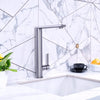 Cebu - Stainless Steel Swivel Kitchen Faucet Brushed Stainless