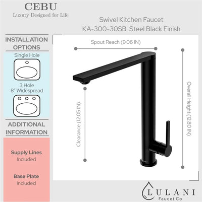 Cebu Stainless Steel 1 Handle Swivel Kitchen Faucet with Baseplate in Steel Black finish